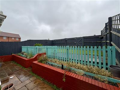 Picture 17